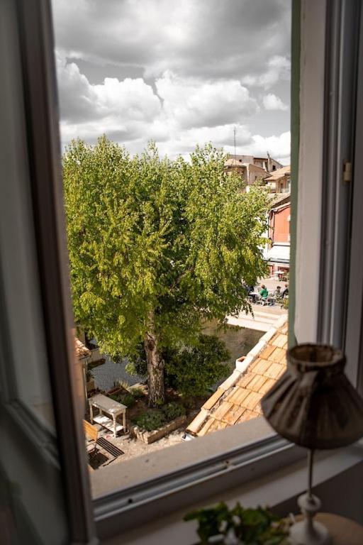 La Maison Du Bassin LʼIsle-sur-la-Sorgue Exteriör bild